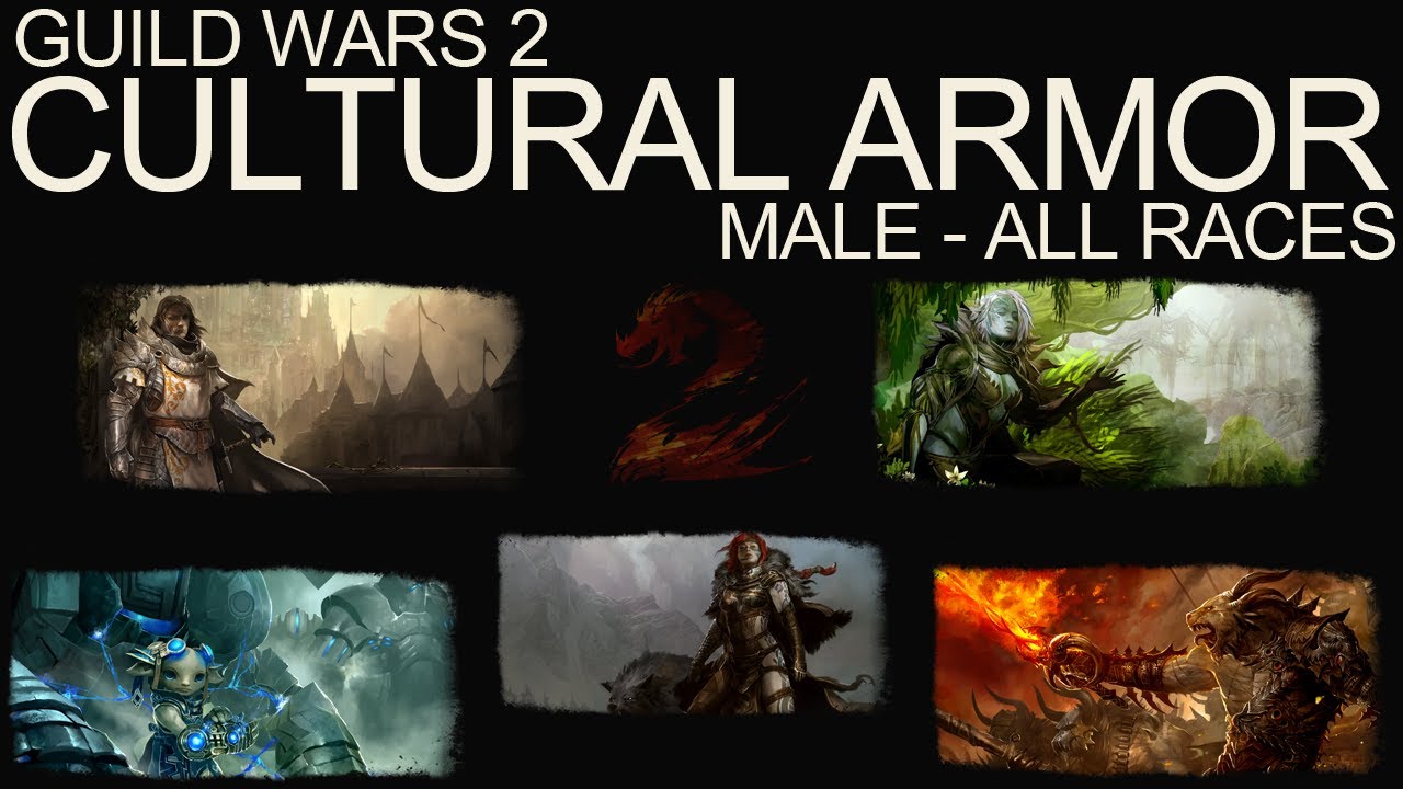 Guild Wars 2 - Cultural Armor Sets - All Races (Male)