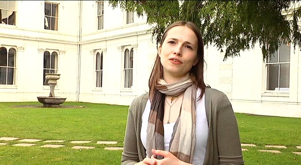 Bachelor of Arts in Languages,Literature and Film