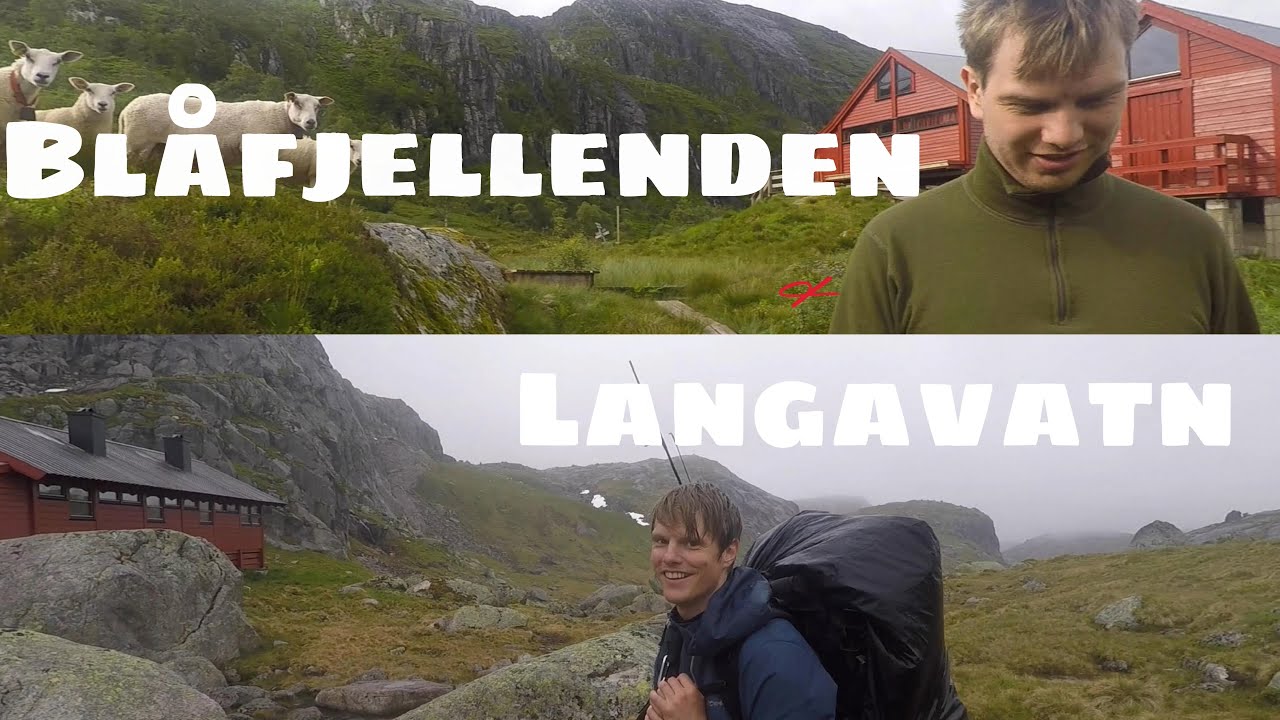 Røyskatt bor på Blåfjellenden og Langavatn er invadert av sauer | Månafossen til Sirdal ep3