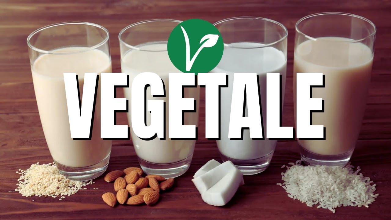 LATTE VEGETALE (in due minuti) FATTO IN CASA