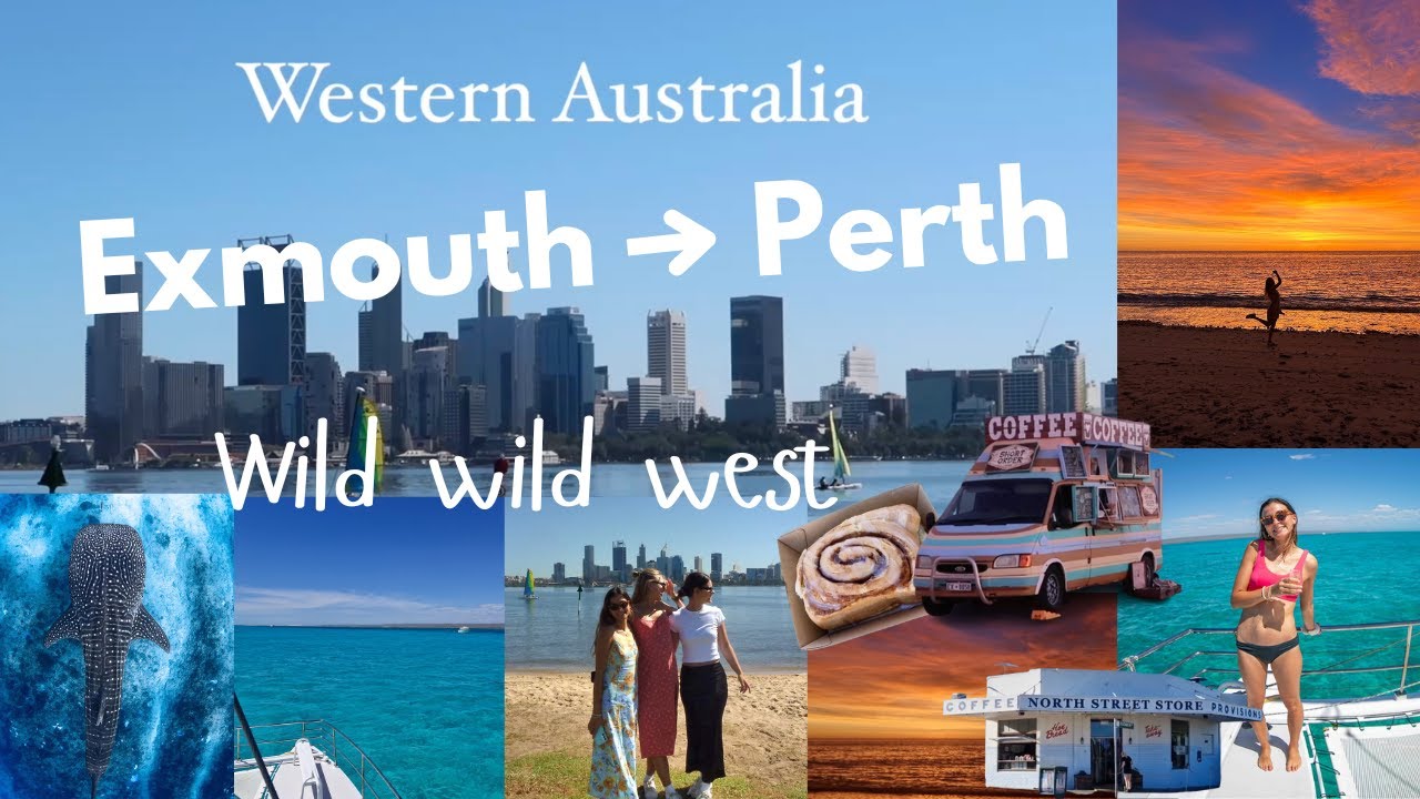 Whale sharks, Exmouth, Perth & Ningaloo Reef! Western Australia road trip (part 1)