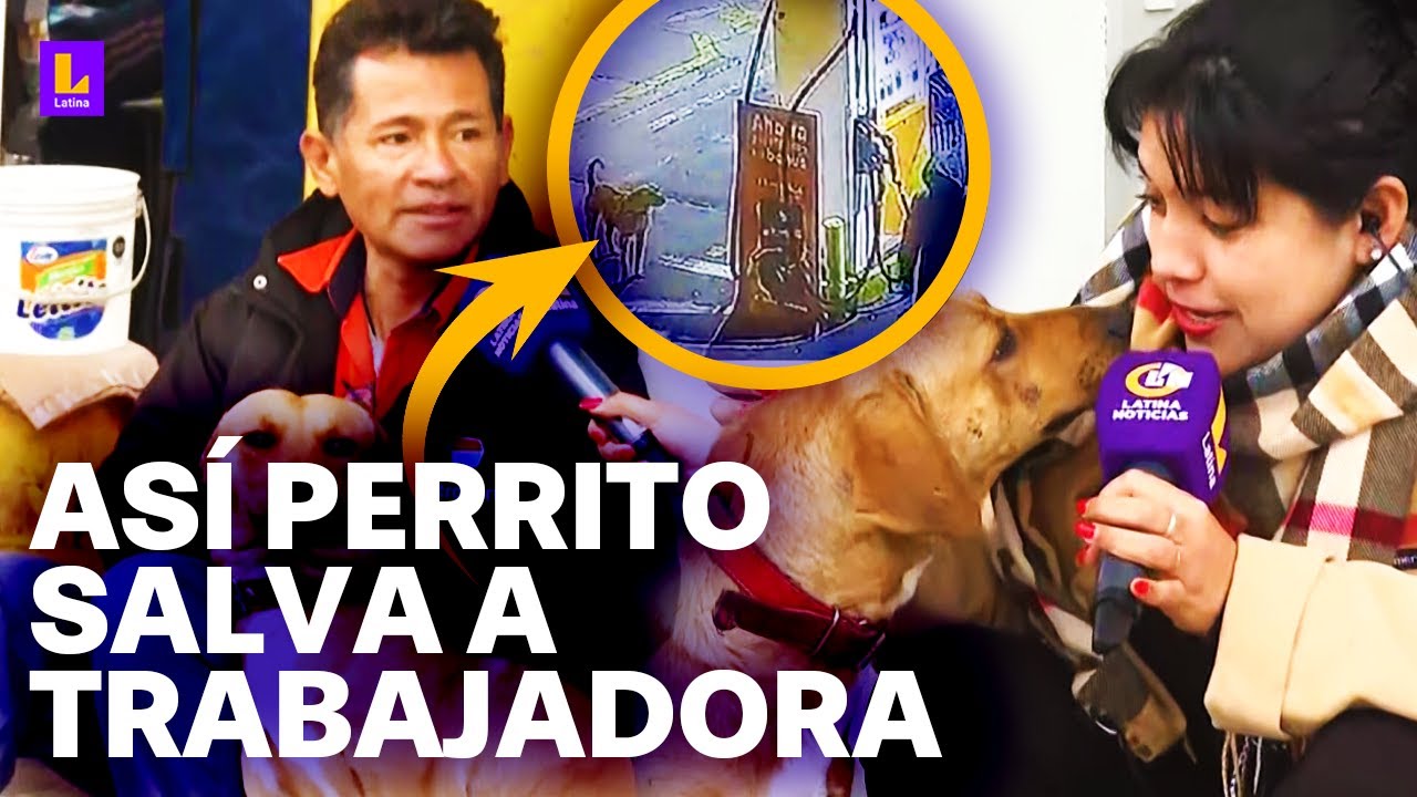 Perrito 'Gringo' evita asalto en grifo y enfrenta a delincuentes armados