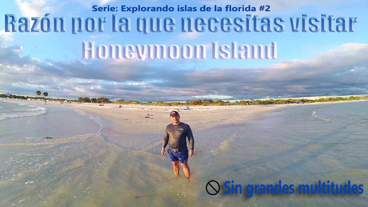 Razón por la que necesitas visitar la playa de Honeymoon Island: Hermosas Playas  de la florida