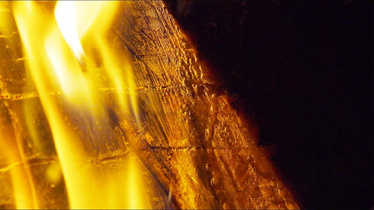 THE MOST FLAMMABLE WOOD ON EARTH!!! {Deer Meat For Dinner}