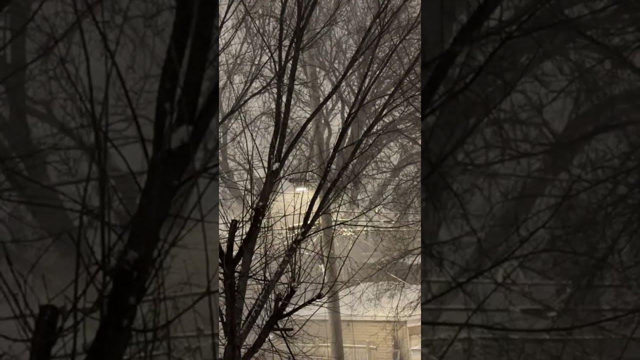 Snowy Night in Chicago | A Quiet Evening