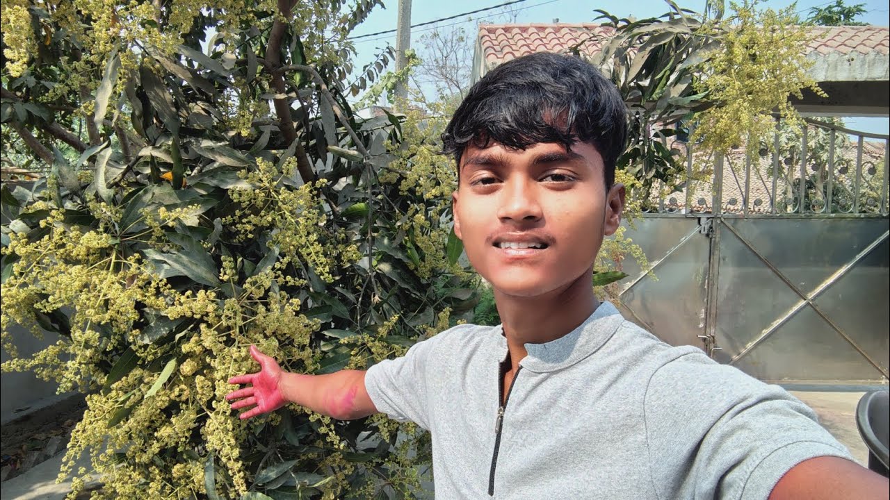 Aam hone laga ped main😍 #vlog #funny with friends 🥰