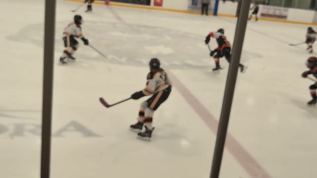 Aurora Tigers vs Orangeville Flyers U13AA 2nd Period 