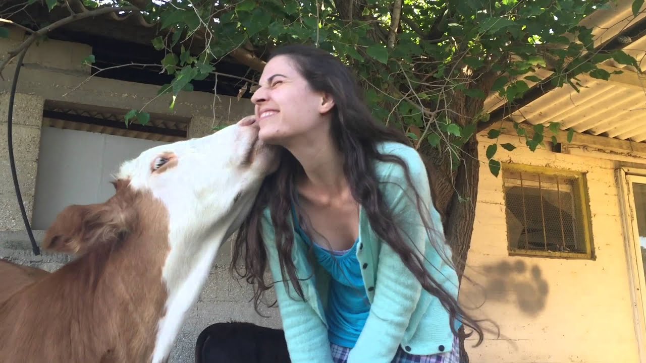 ניצולי חוות החופש נהנים מהחיים