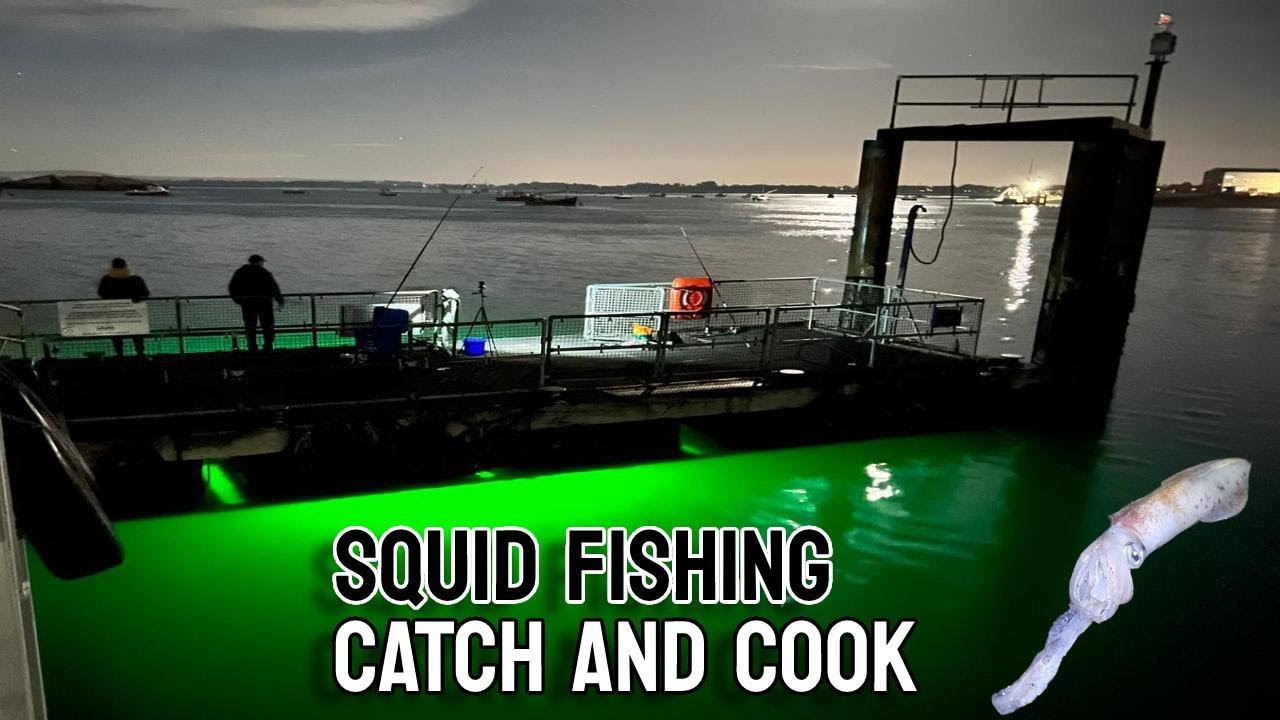 Squid Fishing - CATCH AND COOK