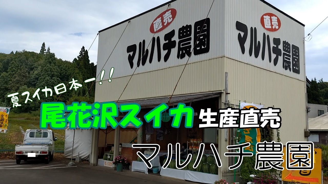 尾花沢スイカ生産直売 マルハチ農園