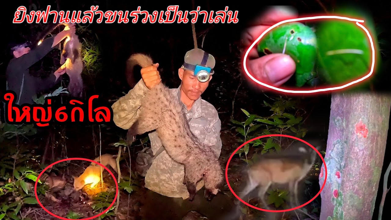 ฟานวิ่งมาให้ยิงซอยจุ๊/ຟານແລ່ນມາໃຫ້ຍິງ