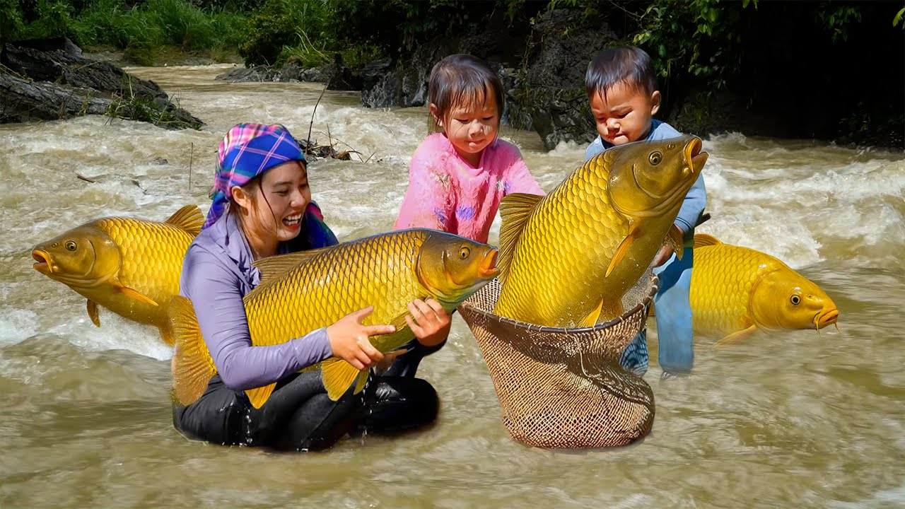 Catching GIANT FISH SCHOOL from a RAGING STREAM | a FISHING DAY with Ms. Chuc Duong | Village Life