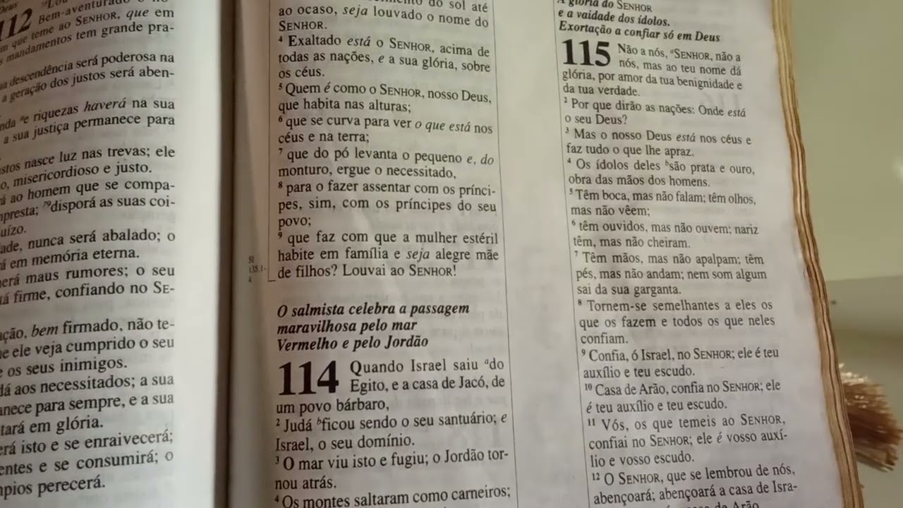 Meditação da manhã no livro de salmos capítulo 113