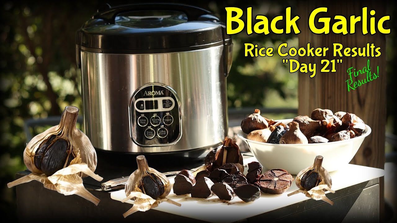 DIY Black Garlic / 21 Day Test Results / Was It Worth It?