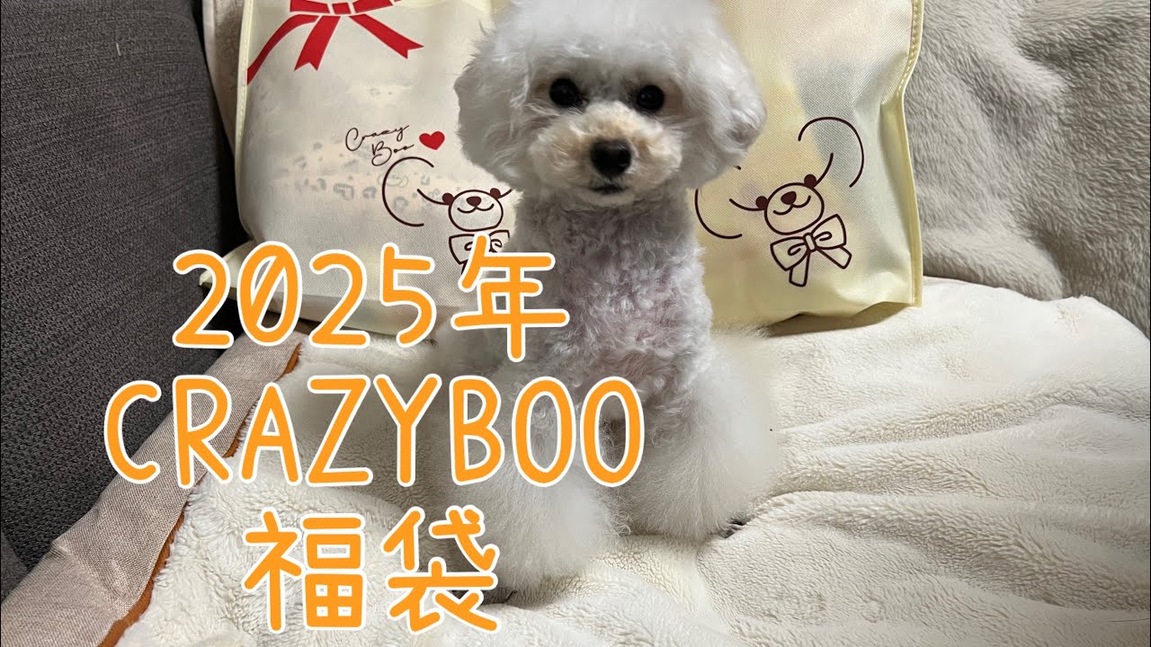 【福袋2025】CRAZYBOOのウェアはＭサイズなハウルさん