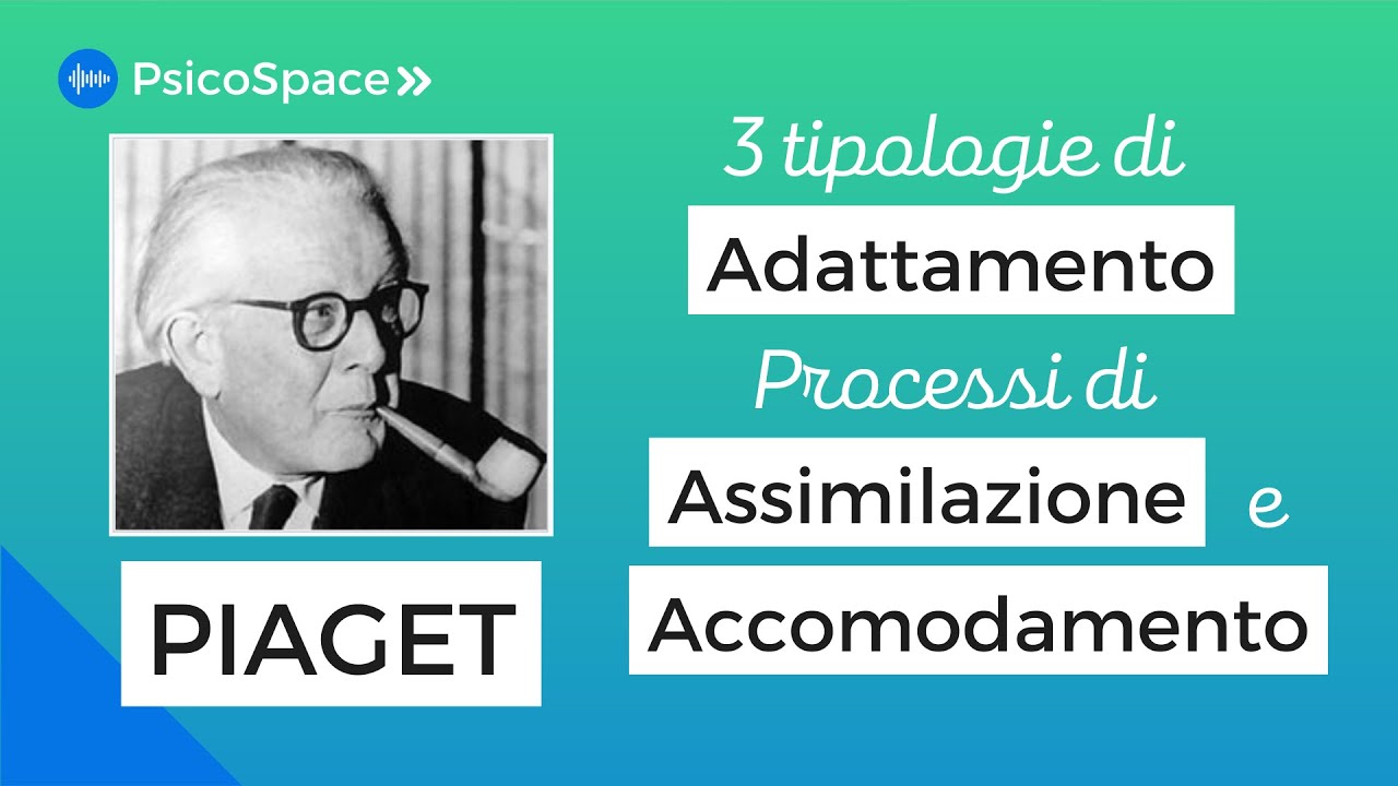 Piaget e la Scuola di Ginevra, 3 Adattamenti e Assimilazione Accomodamento, Storia della Psicologia