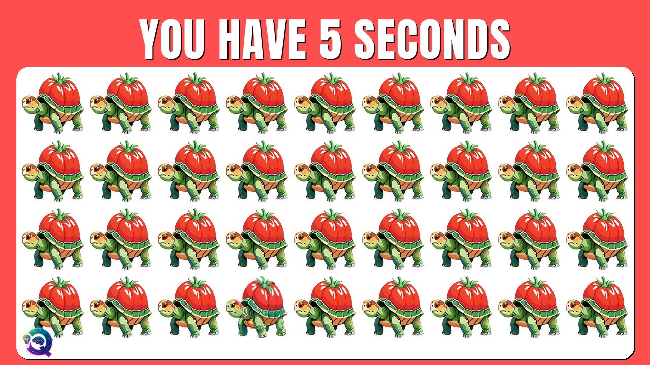 Find the ODD One Out - Animals Eating Vegetables 🐝💦😷 | Easy, Medium, Hard - 42 Fun Levels | Quizity