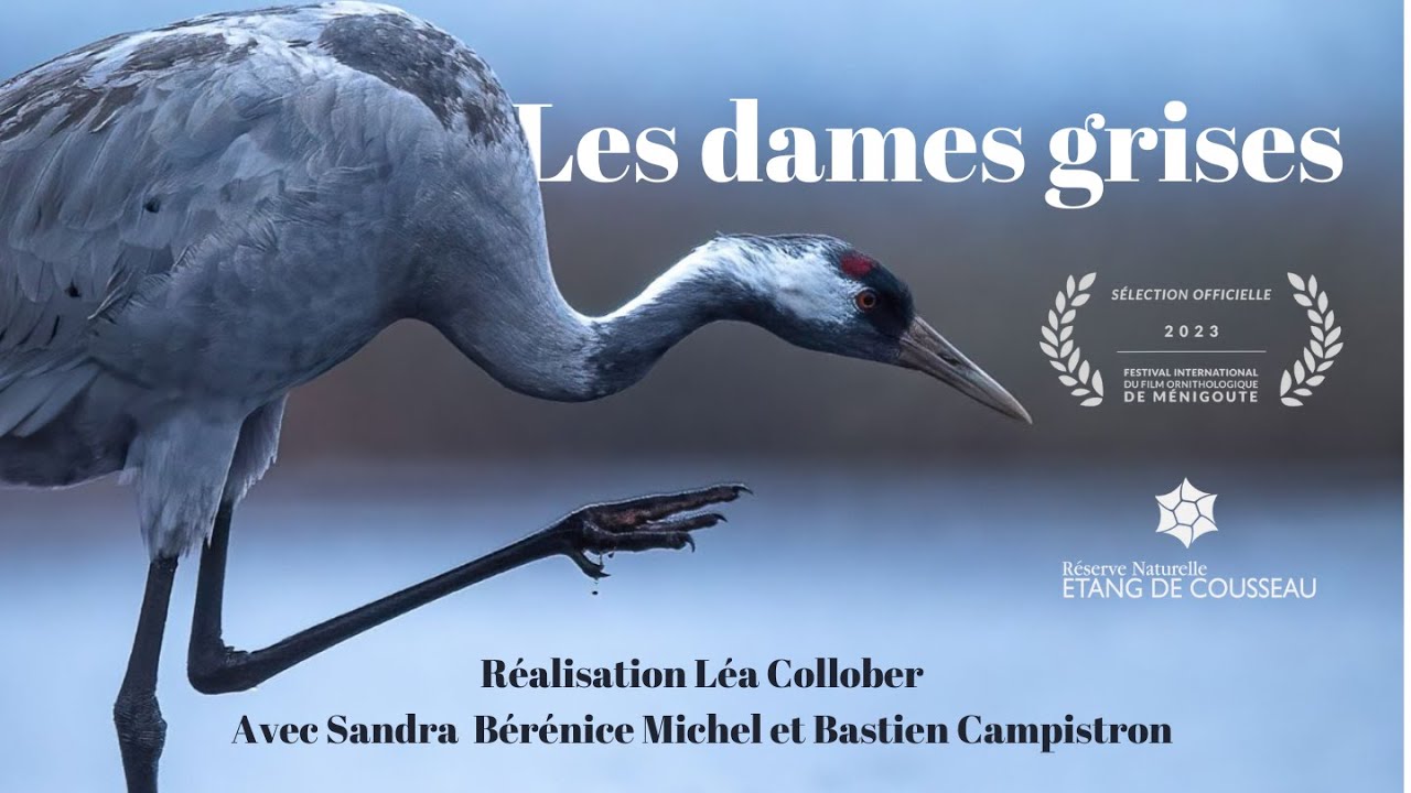 LES DAMES GRISES 🎬Court métrage