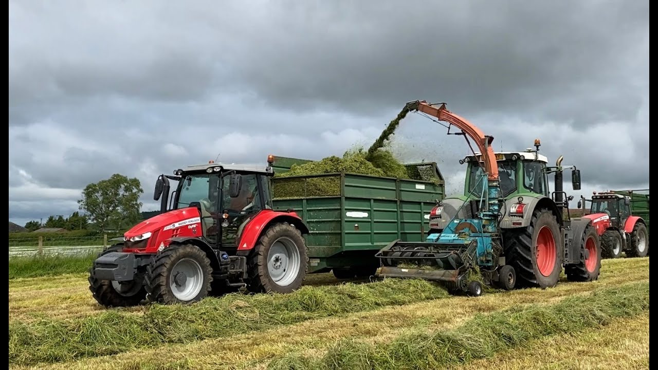 Cumbrian Silage 2024. Fendt reverse drive, MF, Claas, JCB team chop, cart & clamp.