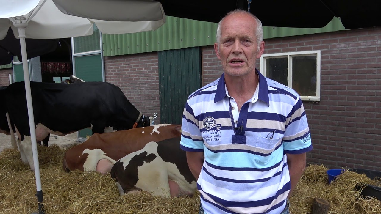 Koei'n Kiek'n in Beltrum