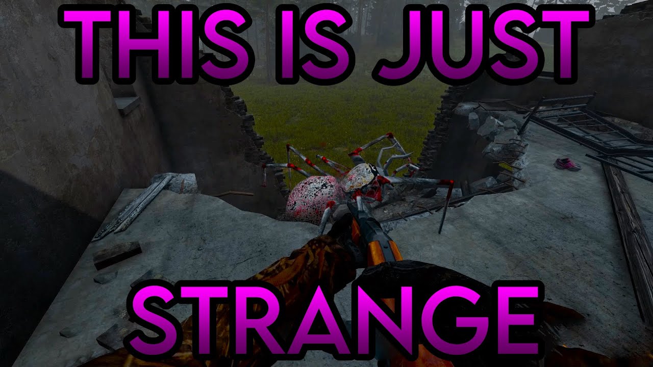 Playing On The Weirdest Dayz Server