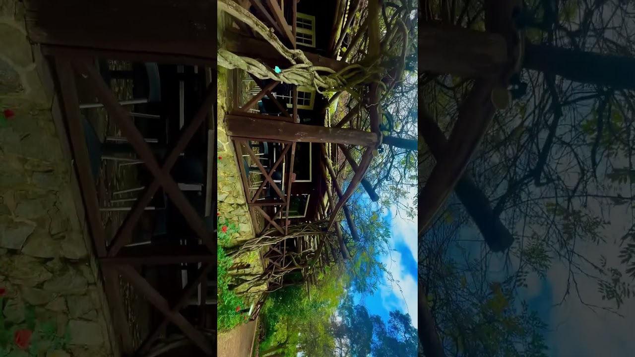 Haunted bhai haunted #song #music #love #singer #bollywood #newsong #punjabi