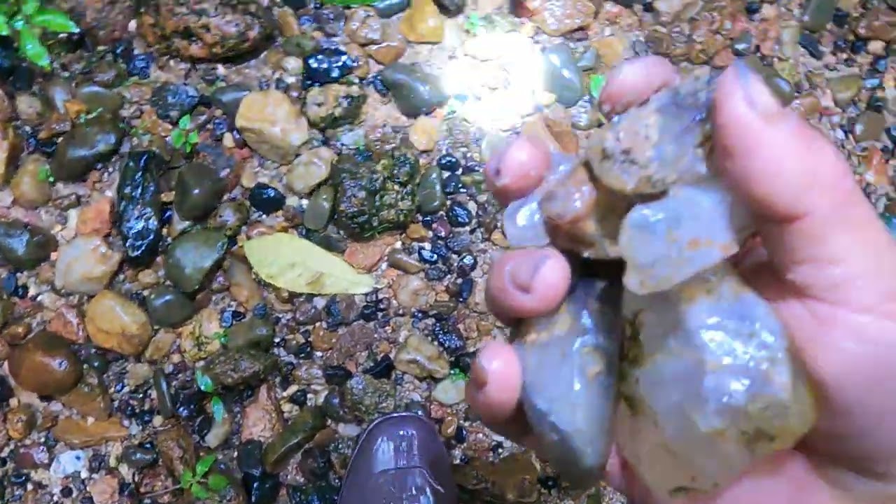 Nhặt đá dưới suối