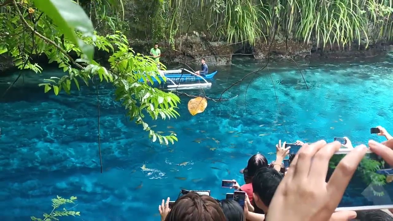 Fish Feeding | Enchanted River | Hinatuan Sirigao del Sur