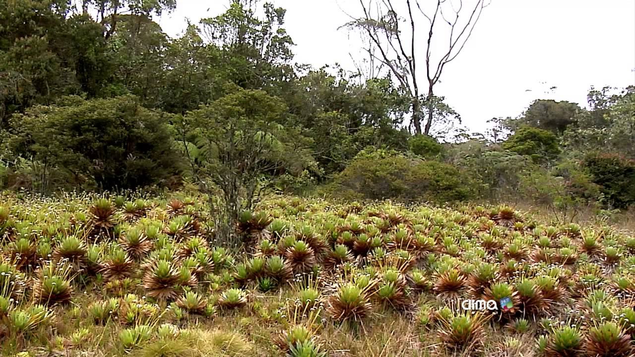 El valor incalculable del páramo Las Baldías cerca a Medellín