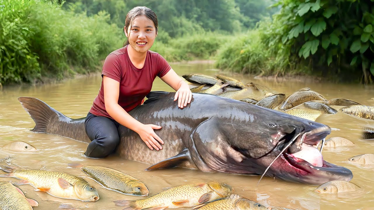 Harvest Giant School of Monster Carp & Catfish by Hand with Nhi & Khoi to Sell at the Fish Market