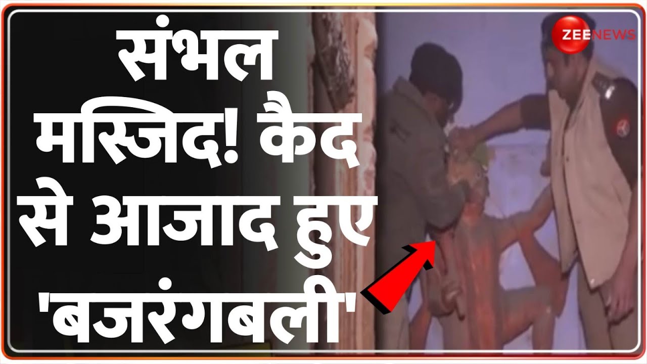 संभल मस्जिद! कैद से आजाद हुए 'बजरंगबली' | Sambhal Mandir Update | Shivling Found | Jama Masjid