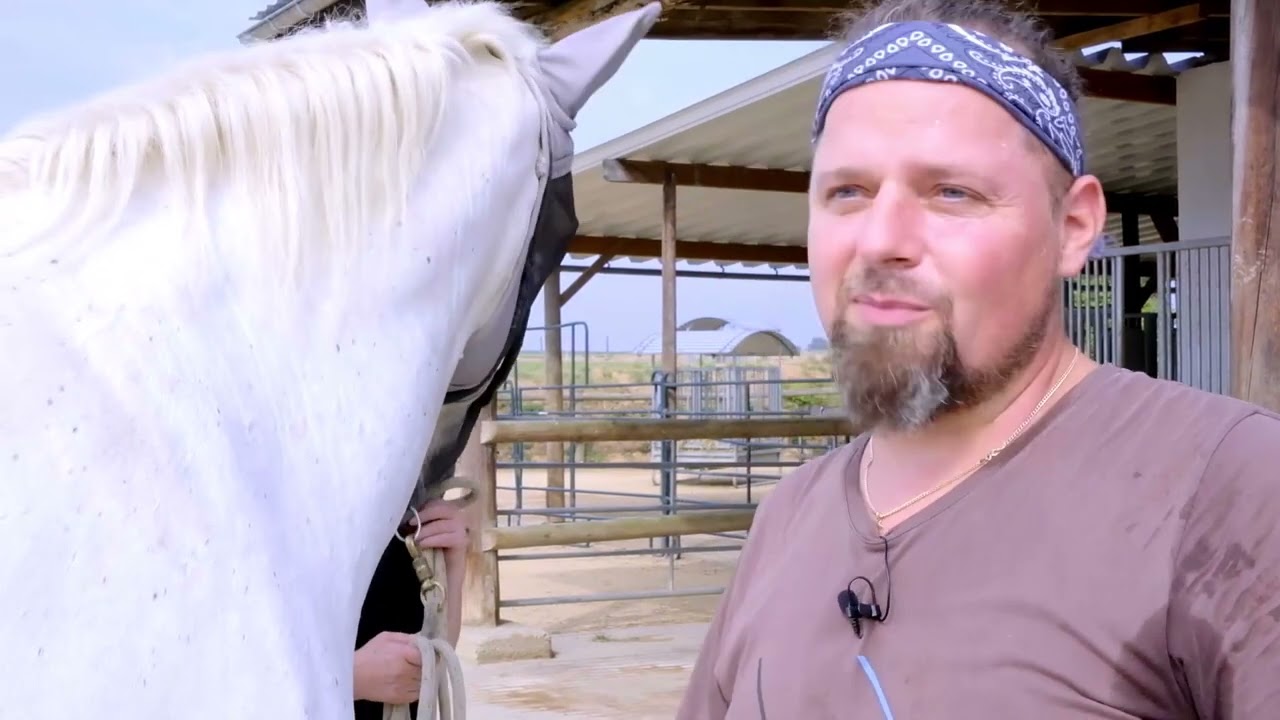 huuf-balance Bearbeitung in der Praxis