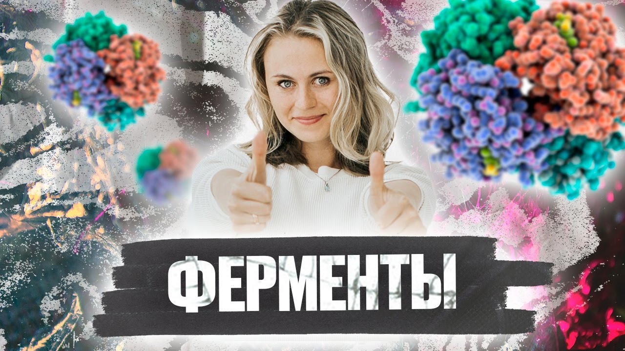 Ферменты | ЕГЭ  2022 Биология