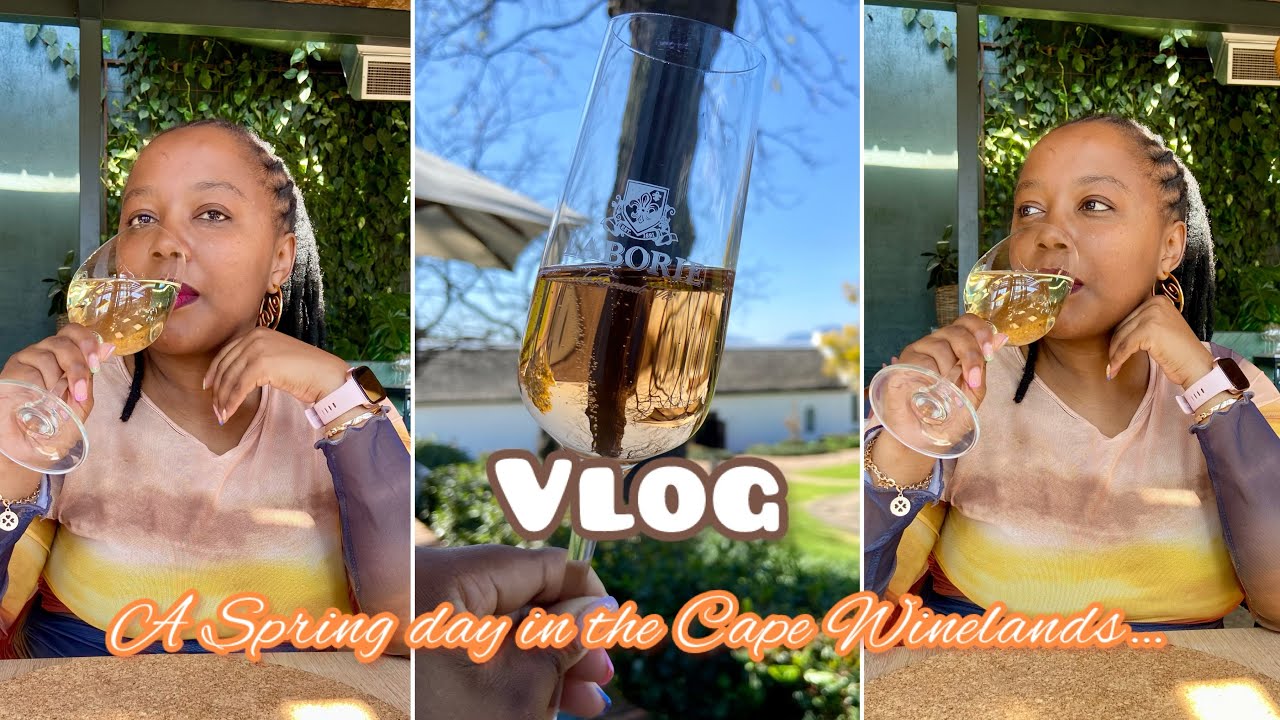 Weekend Vlog: let’s go to Laborie Wine Estate | wine tasting | South African #Laborie #cocomelon