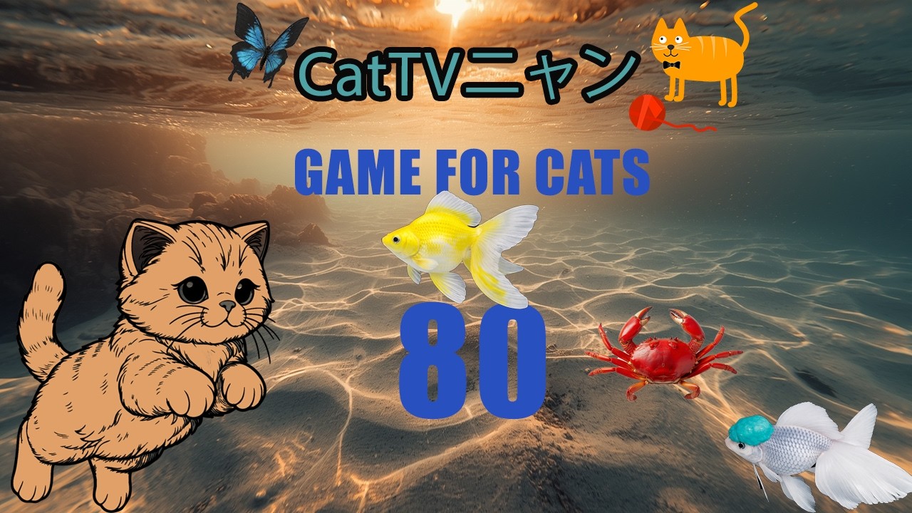 猫の本能全開！5時間の狩りタイム🎯 | CatTVニャン #80