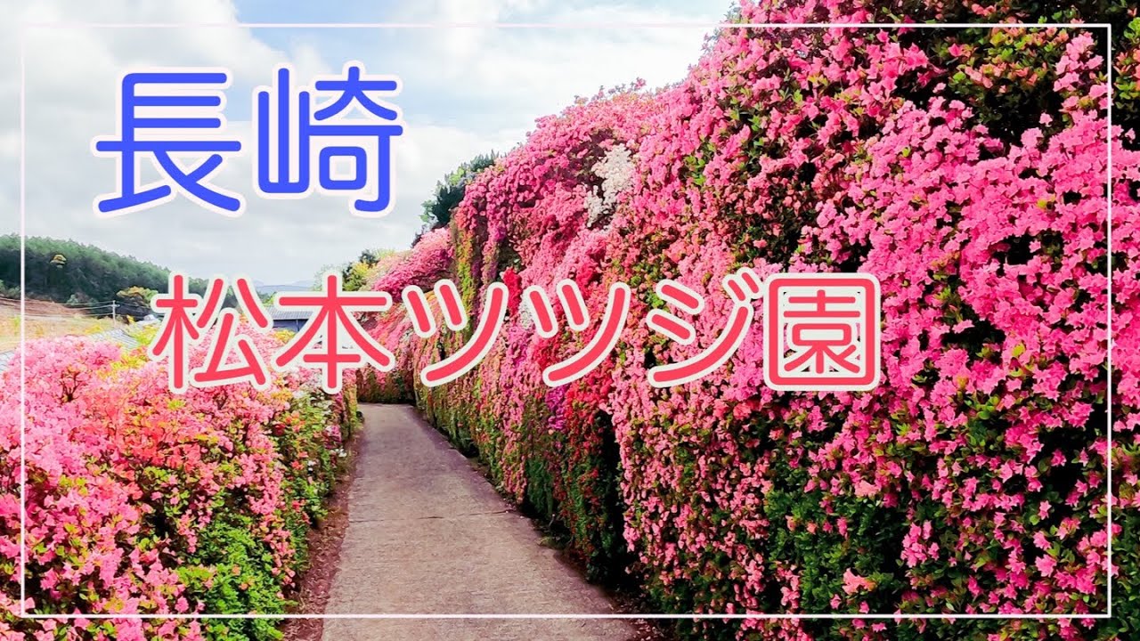 GoPro持って長崎へ、絶景♪松本ツツジ園、どこまでも続く素晴らしい景色✨