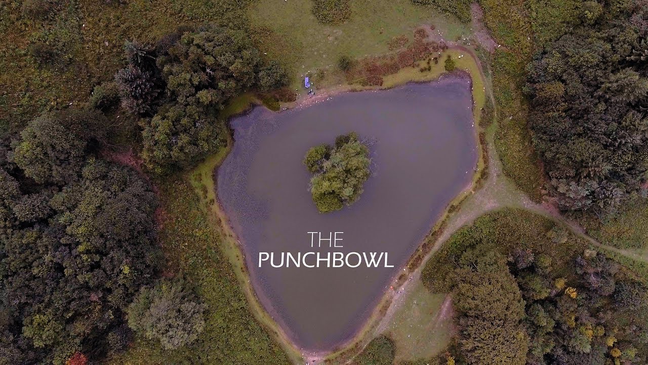 The Punchbowl