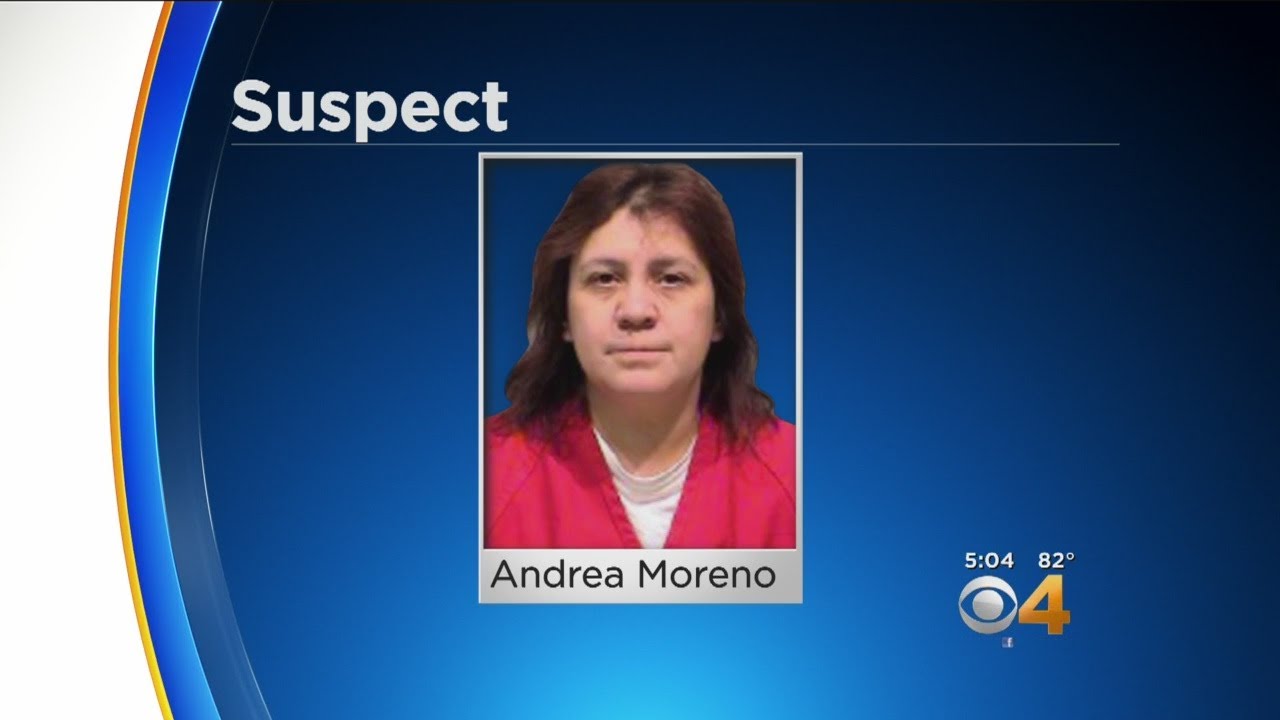 Woman Sentenced To Prison For Setting Car On Fire