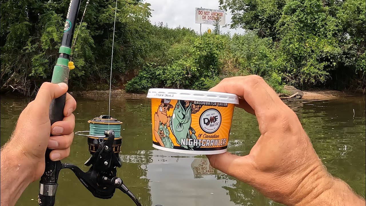 Old School Worm Fishing: How to Catch Big Fish with Night Crawlers 