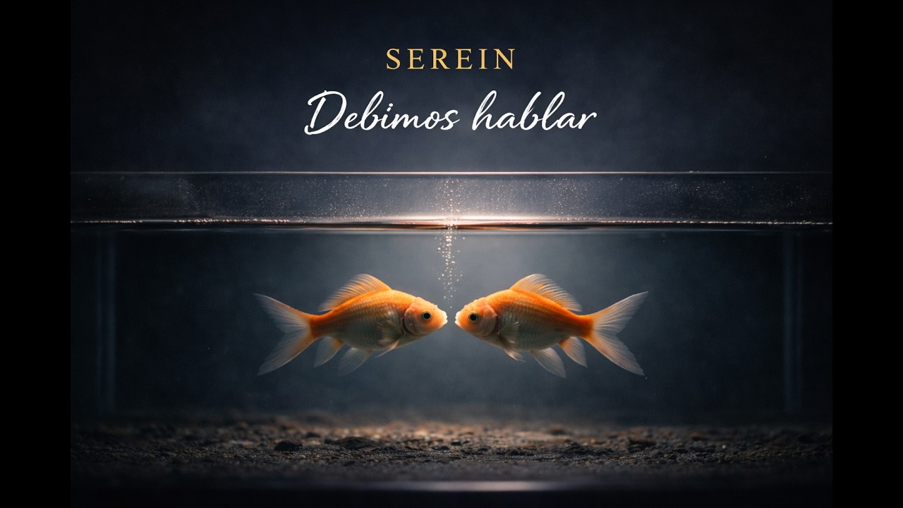 SEREIN – Debimos hablar | Cartografía de la niebla