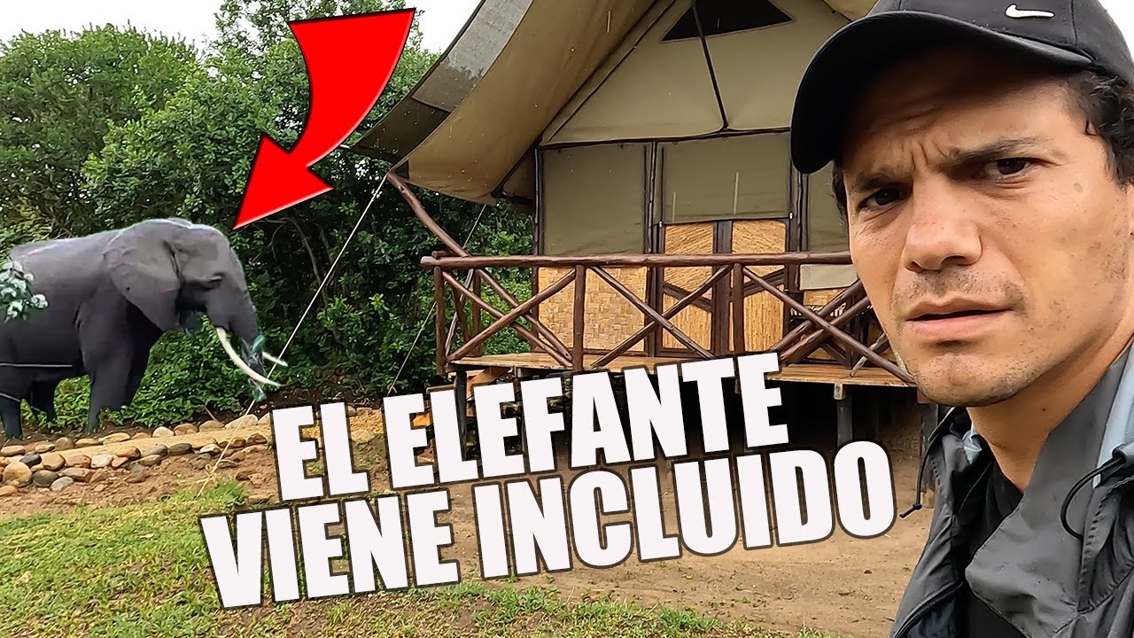 Lo que alquilas con $50 en Uganda 🇺🇬 (Safari en África)