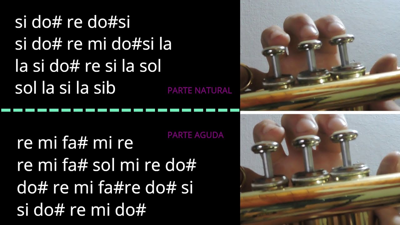 Cristo Te Adoramos_Menap_Tutorial De Trompeta(notas-bajas/altas)...