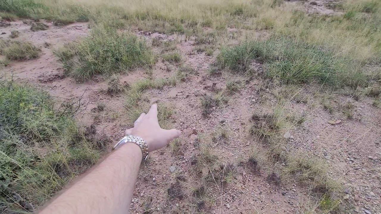 The Capture of Billy the Kid
