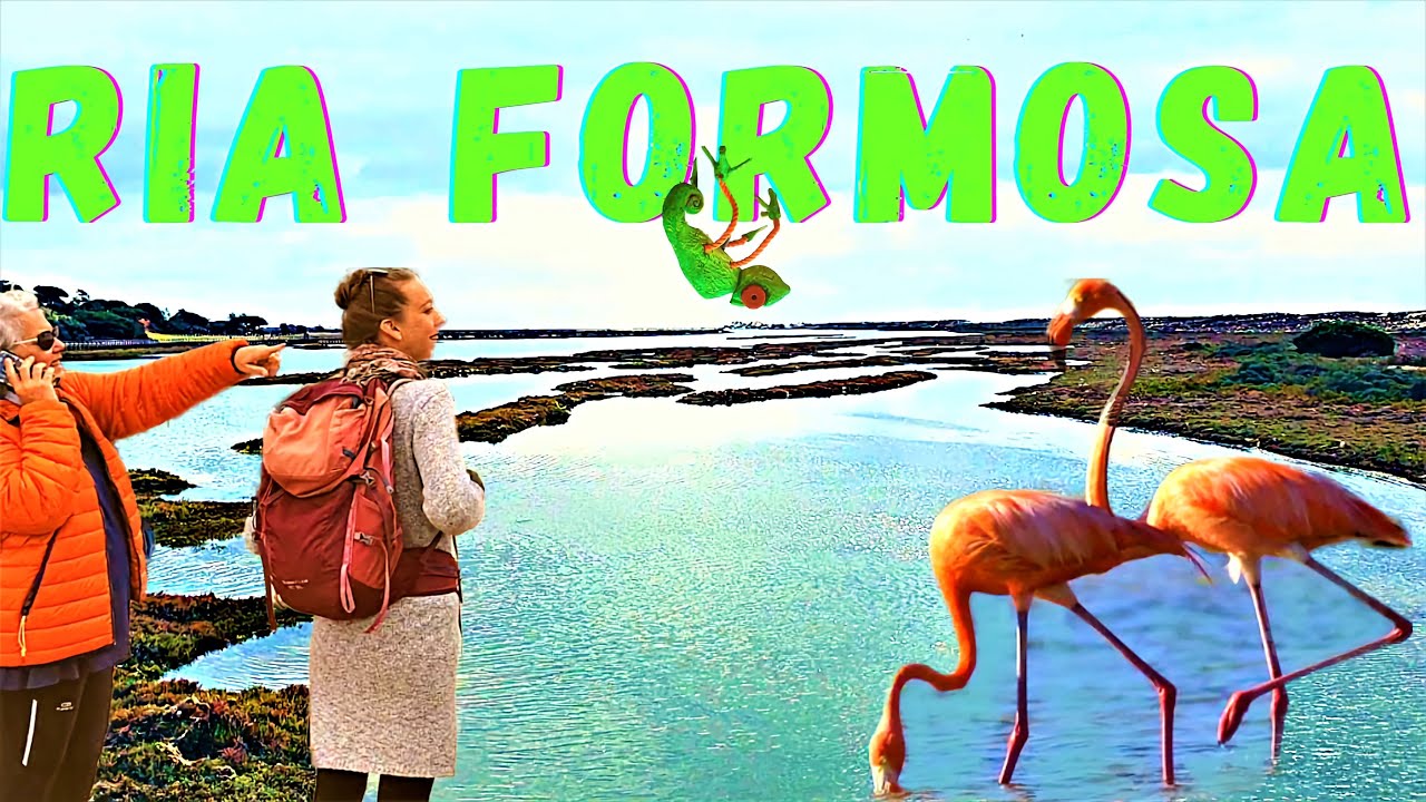 Quinta do Lago to Faro 🇵🇹 Stunning flamingos & other wildlife in Ria Formosa natural park!