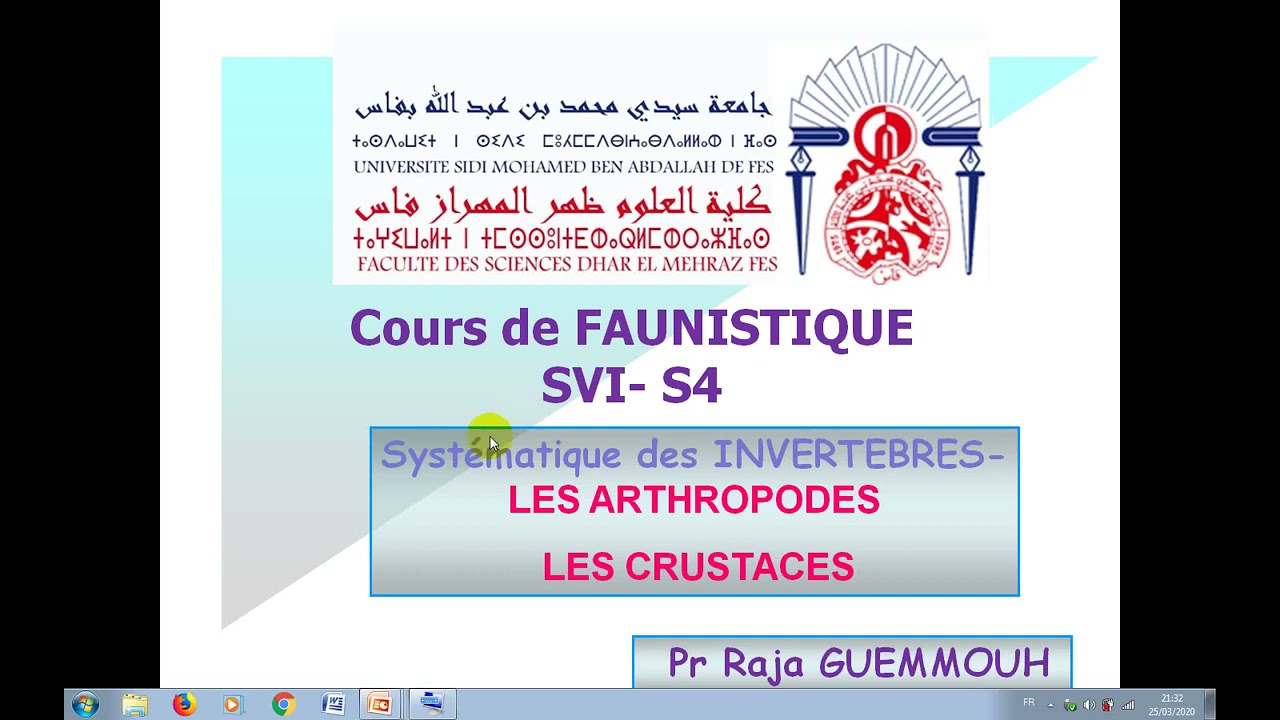 cours de faunistique svi s4 les arthropodes les crustaces