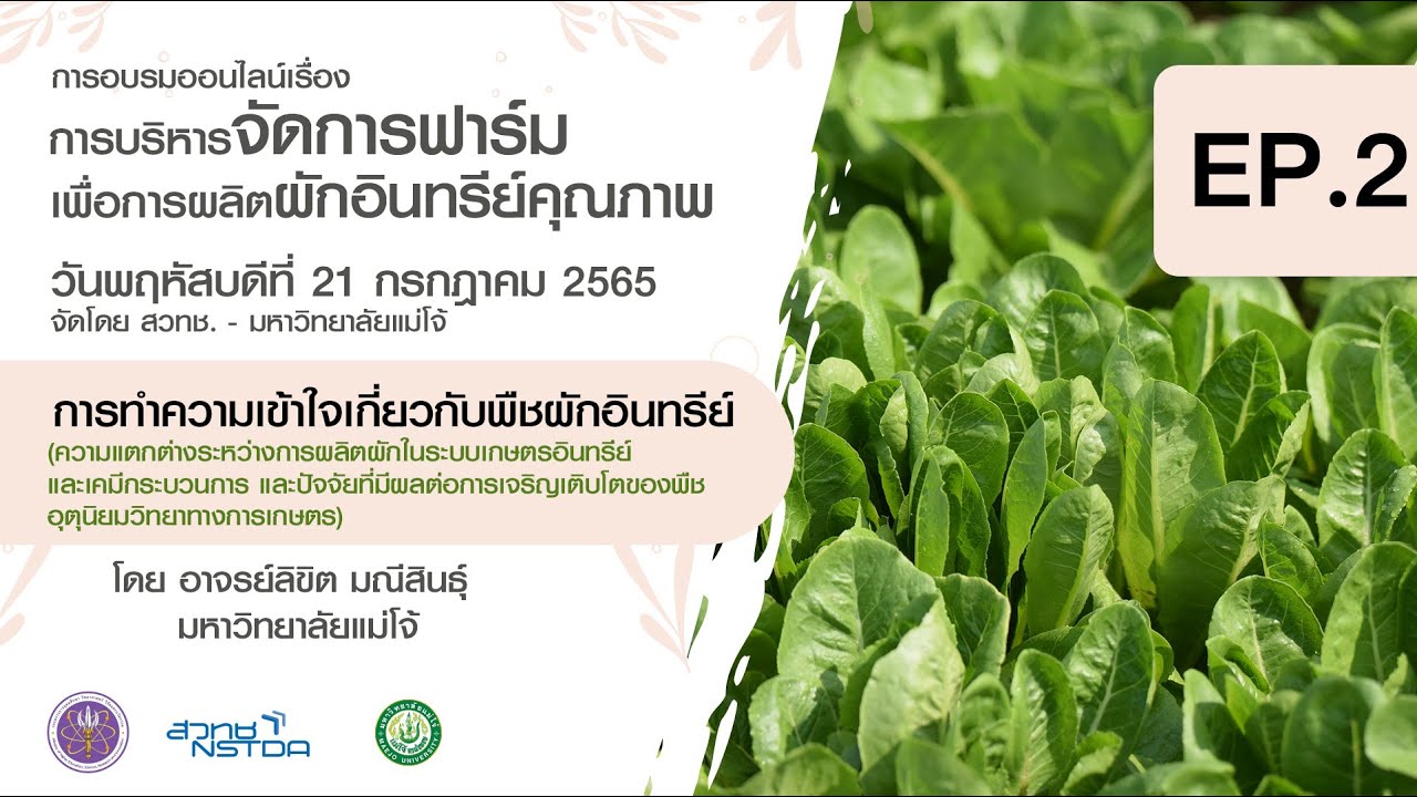 EP.2 การทำความเข้าใจเกี่ยวกับพืชผักอินทรีย์