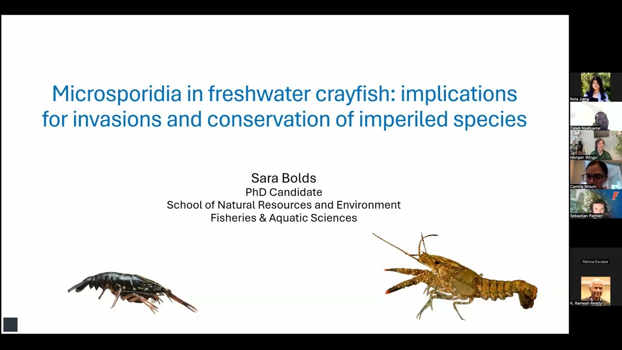 SNRE Seminar | Microsporidia in freshwater crayfish | Sara Bolds | Spring 2026