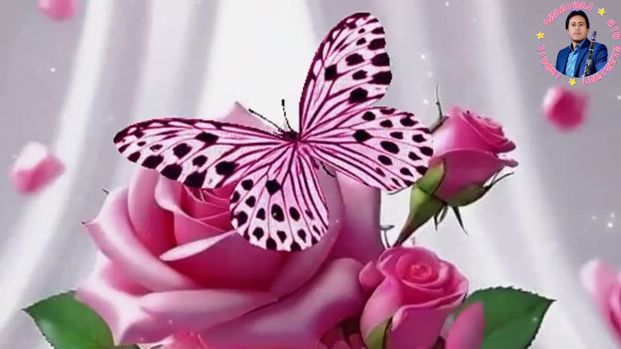 Ismail Shahinaj Valle Ritmike 26/02/2026