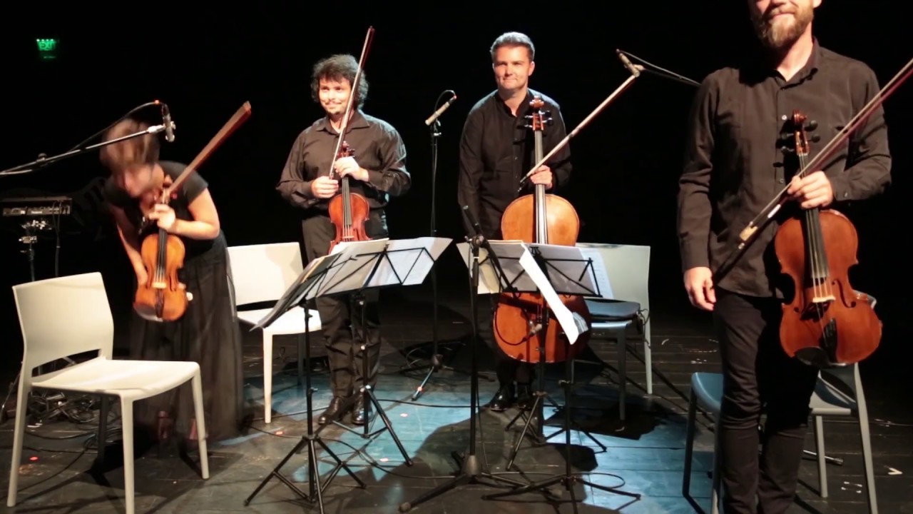 Doina Rotaru: Vivarta - Arcadia Quartet