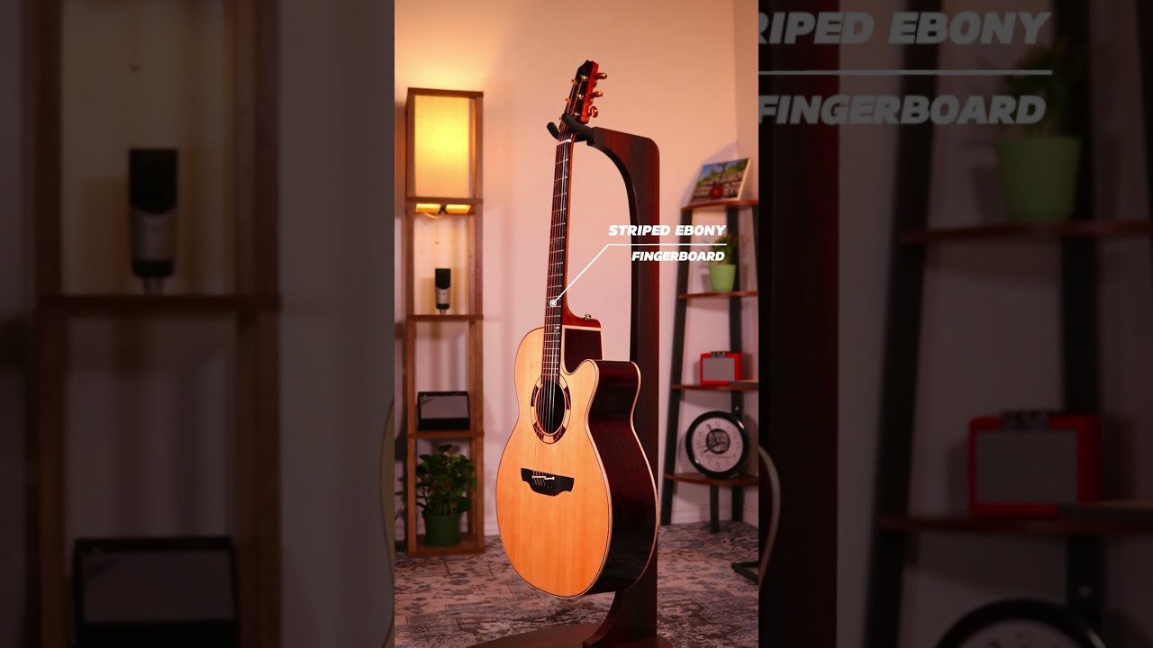 Takamine DSF48C NEX | MSP Musique